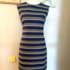 Banana Republic Form Flattering Striped Dress